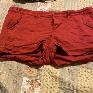Torrid Shorts